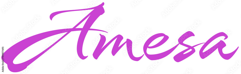 Amesa Amesa
