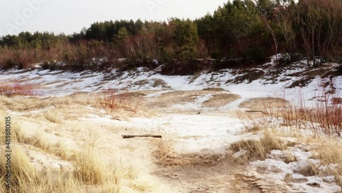 Wallpaper Mural Seashore Sandy Beach Dunes Covered With Snow Torontodigital.ca