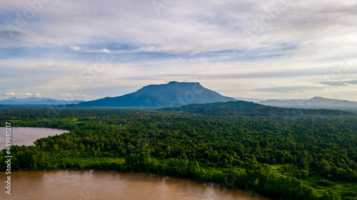 Aerial view of forest and mountain with river
