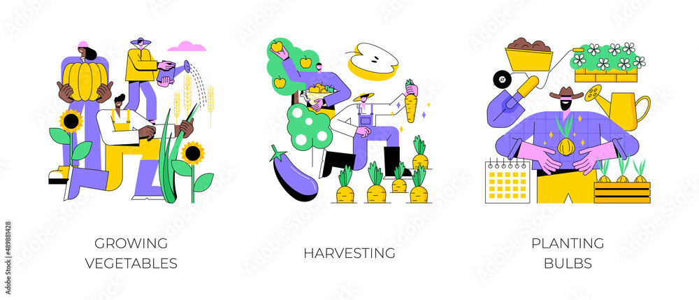 Garden seasonal works abstract concept vector illustration set. Growing vegetables and harvesting calendar, planting bulbs, organic food, salad seeds, container garden, flower bed abstract metaphor.