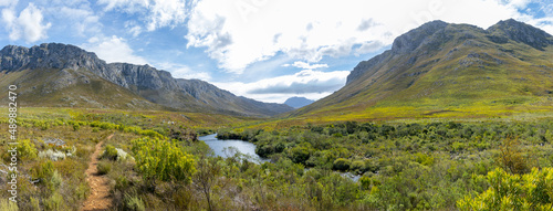Fynbos landscape with stream in Kogelberg Nature reserve in South Africa photo