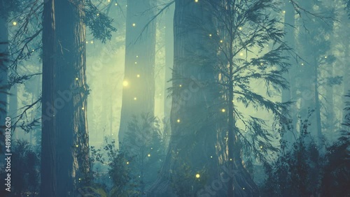 Fantasy firefly lights in the magical forest photo