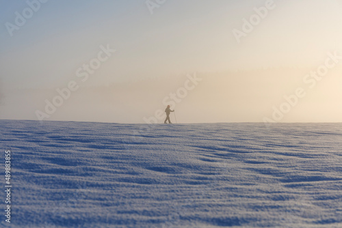 person skiing on the field