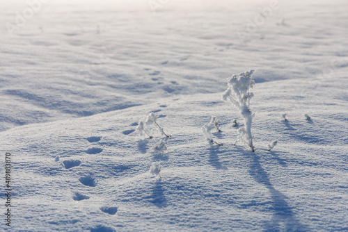 snow on the field