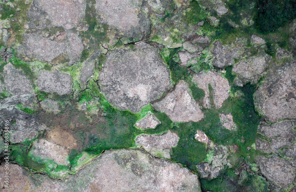 stone with moss. space for your texts or objects. Water damage causing mold growth on the interior walls of a property. stone with moss. space for your texts or objects. Water damage causing mold growth on the interior walls of a property.