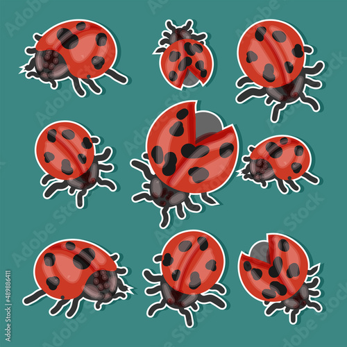 Set of stickers of ladybugs in the background.