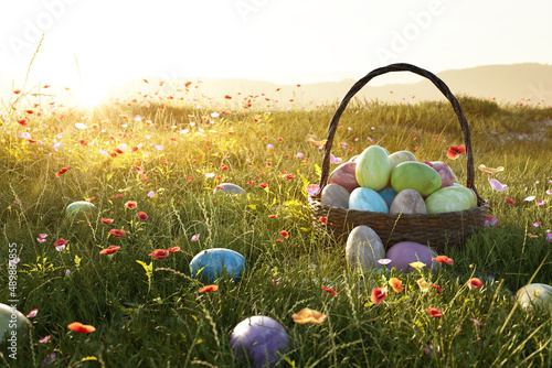 Easter Eggs Basket in a Flowerfield photo