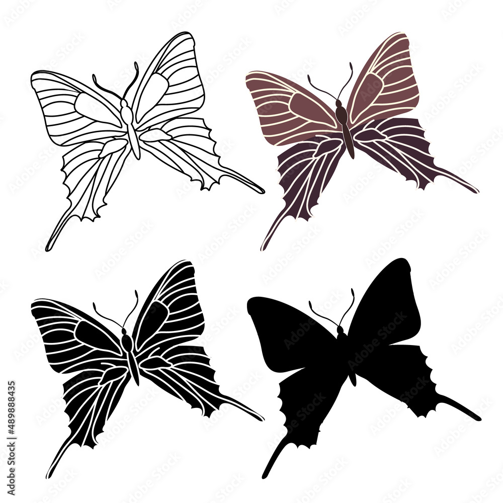 Set of outline silhouette insect butterflies Set of outline silhouette insect butterflies