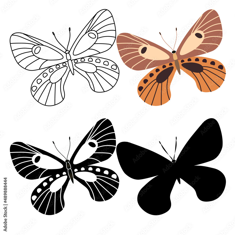 Set of outline silhouette insect butterflies Set of outline silhouette insect butterflies
