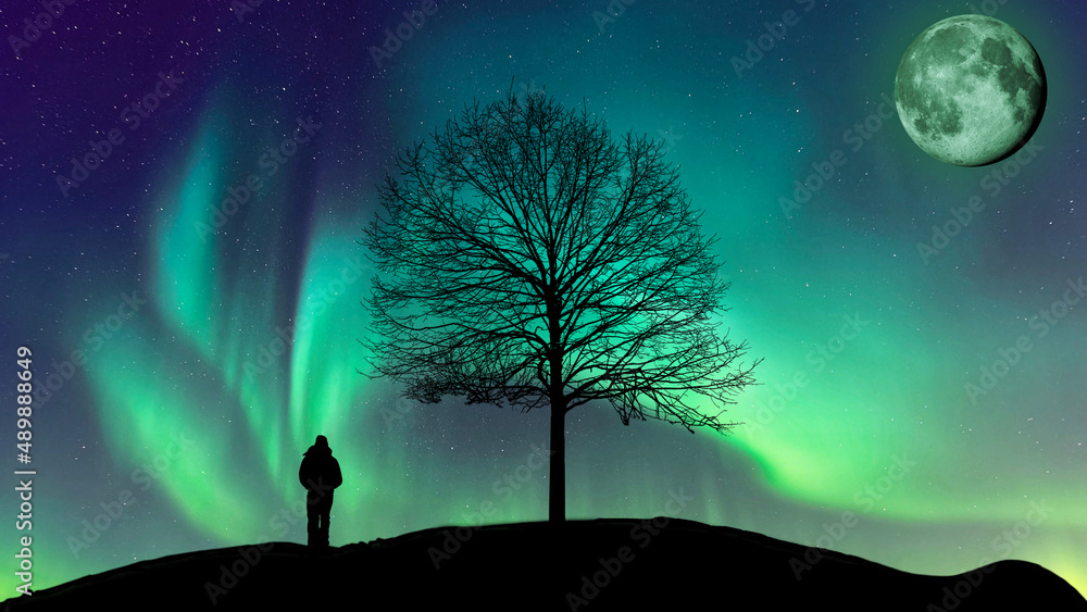 The Aurora borealis