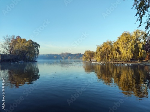 Autumn landscape with lake - Autumn trees reflected in water. Sunny autumn day in the park