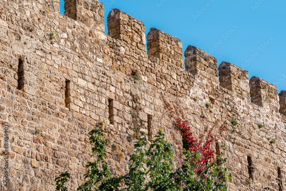 ancient fortress wall, twined with bindweed
