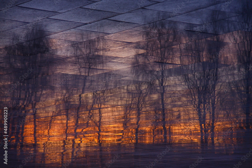 Reflejos