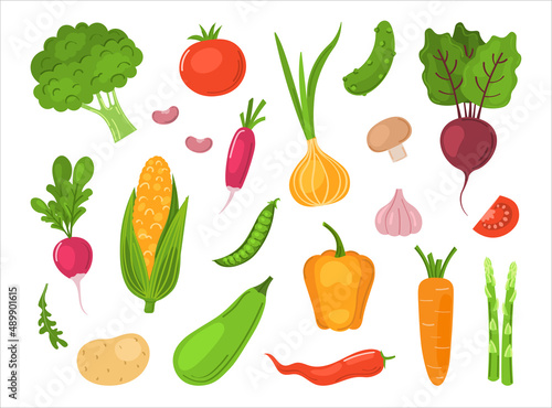 Set with hand drawn colorful doodle vegetables. Sketch style big vector collection. Flat icons set: carrot, onion, tomato, radish, beet, broccoli, asparagus, beans, corn, garlic, chili, pepper.