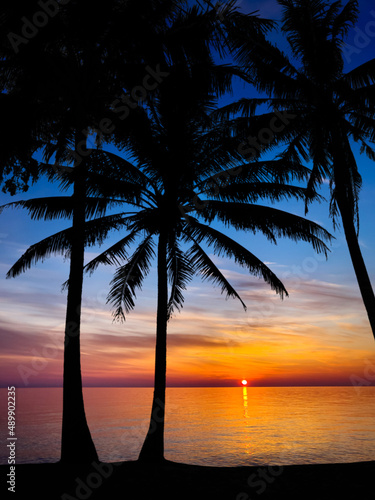 Nice sunset. Dark palm trees silhouettes on colorful tropical ocean sunset background