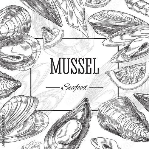 Mussels decorative square frame or border engraving vector illustration isolated.