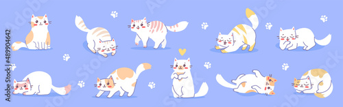 Vector set of illustration with happy cute different white cat character on blue color background. Flat line art style design of group of animal cat in different pose