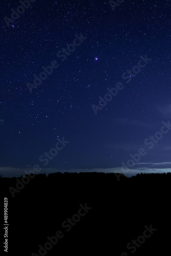 night starry sky over the forest, sky seen from Poland in February, starry sky and black landscape outline