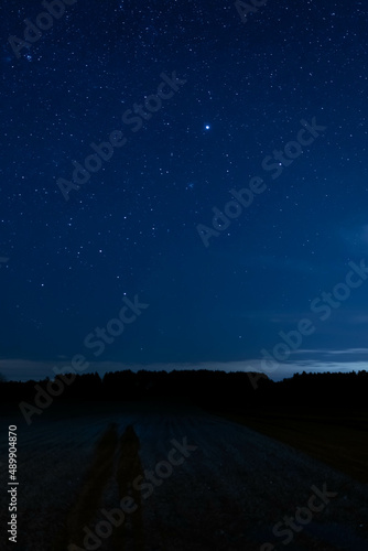 night starry sky over the forest, sky seen from Poland in February, starry sky and black landscape outline © Miriam