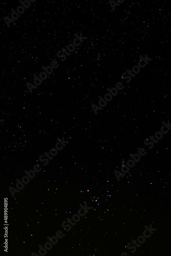 night starry sky over the forest  sky seen from Poland in February  starry sky and black landscape outline