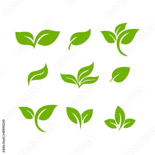 set of leaf vector icon symbol illustration