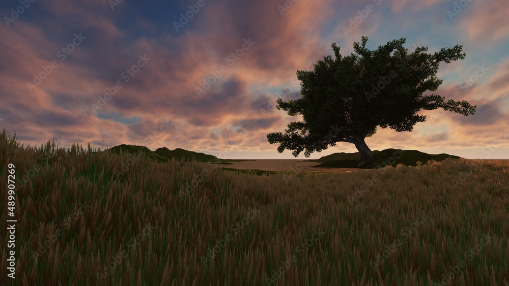 Wheat field with beautiful blue sky in the background in sunset time, 3d illustration Wheat field with beautiful blue sky in the background in sunset time, 3d illustration