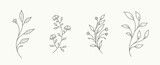 Minimalist floral branch for logo or tattoo. Hand drawn flowers and leaves. Botanical trendy greenery for invitation save the date card