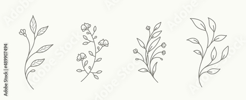 Minimalist floral branch for logo or tattoo. Hand drawn flowers and leaves. Botanical trendy greenery for invitation save the date card