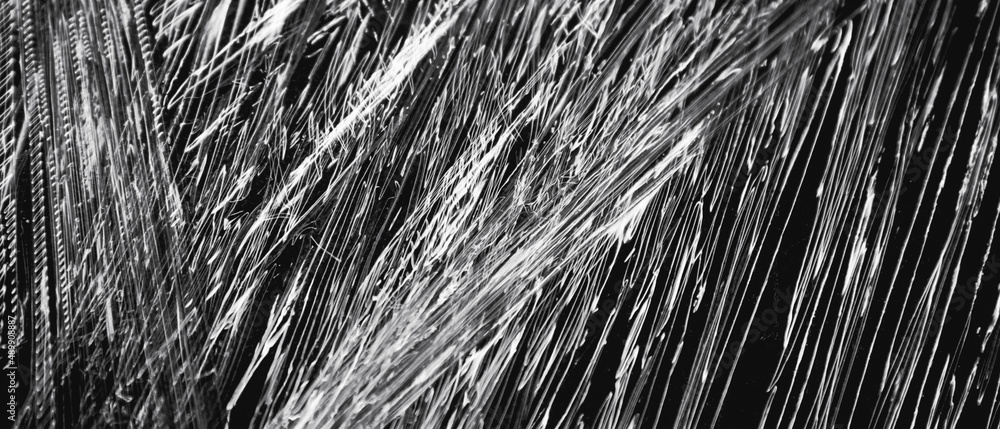 abstract pattern with white stripes abstract pattern with white stripes