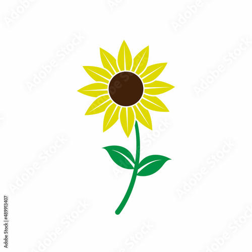 Sunflower icon design template illustration vector
