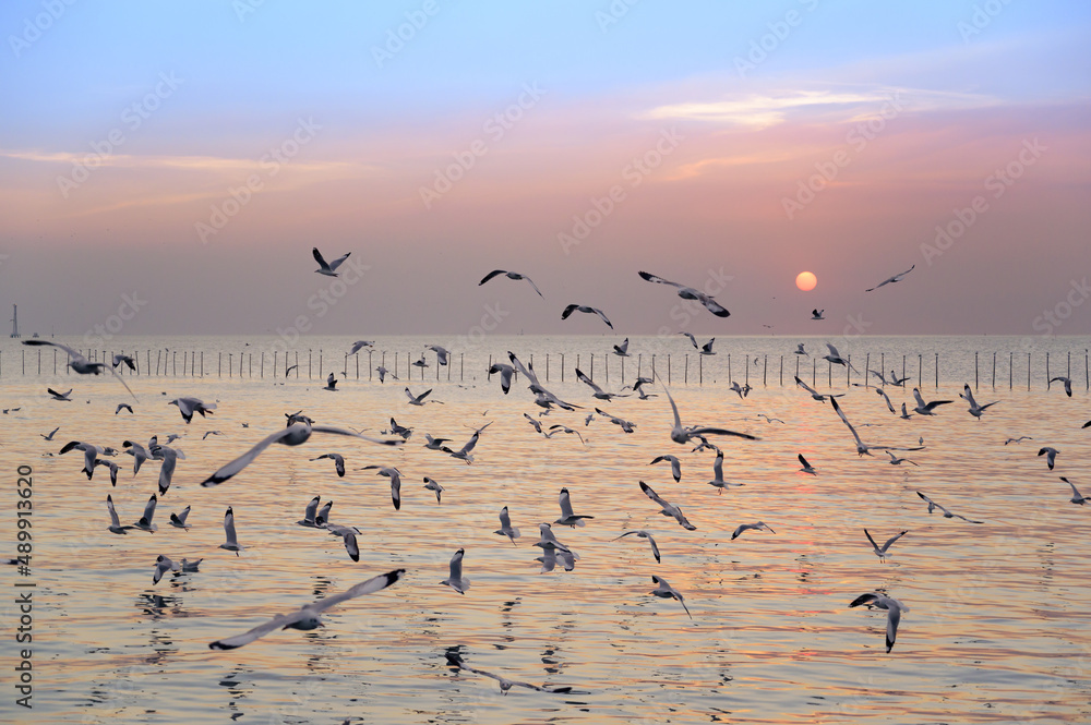 seagulls flying above the sea at beautiful sunset time with a twilight scene.