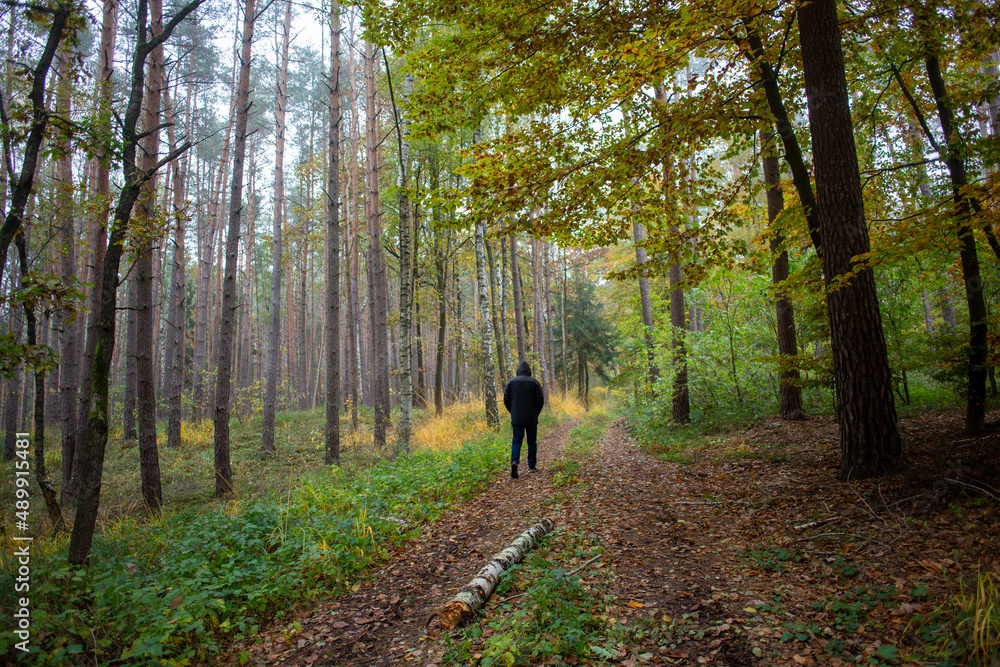 Fototapeta premium The lonely figure of a middle-aged man in woods