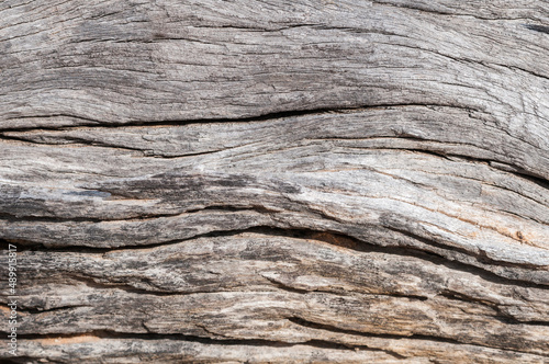 Wood texture   Rustic gray wood background with structural effect.