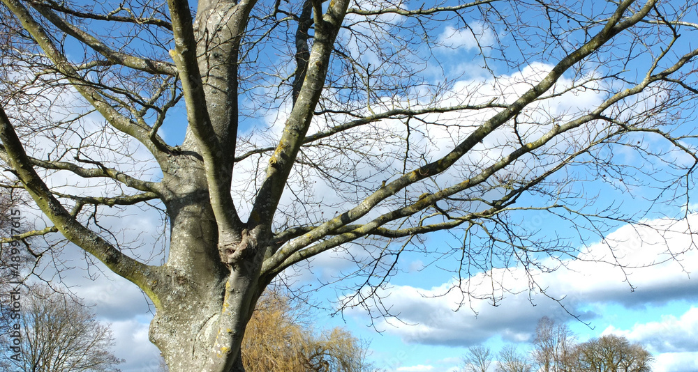 Obraz premium West Sussex sky views on a bright February day