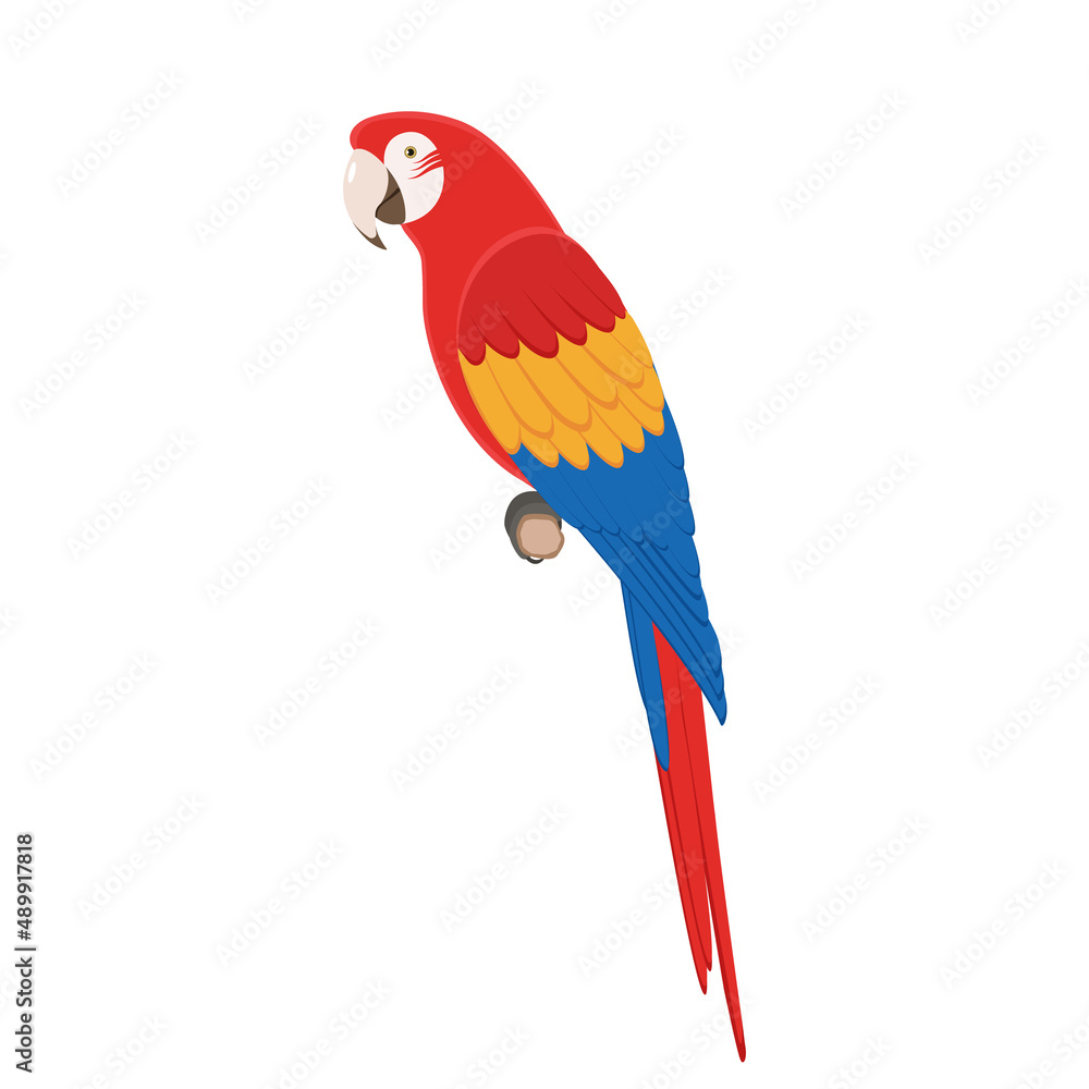 Macaw parrot sitting on a branch