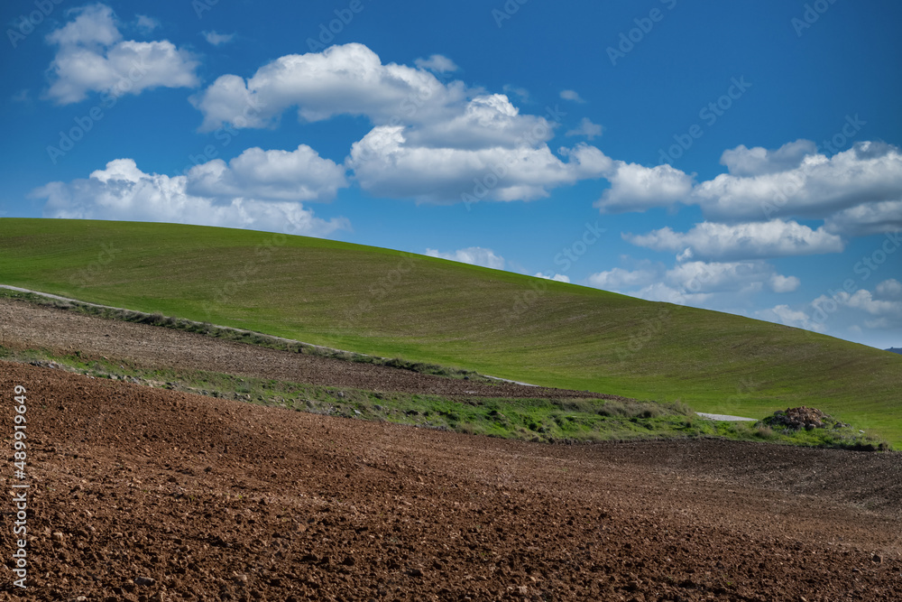 green crop fields and blue cloudy sky