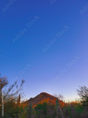  landscape in the mountains