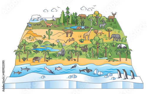 Biodiversity scene with flora and fauna ecological zones outline diagram. Latitudinal zonation gradients with wildlife species population vector illustration. Earth environmental animals distribution.