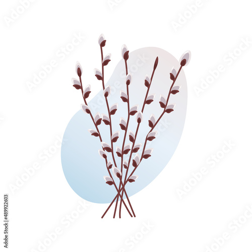 Pussy willow branches with budding buds. Spring flower in Easter season. For greeting cards, posters, banners, packaging, wedding cards. Vector spring holiday illustration in cartoon flat style