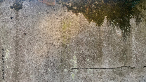 Texture, grunge ciment wall with cracks and moss 