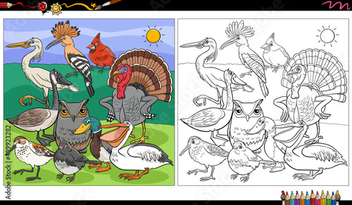 cartoon birds animal characters coloring book page