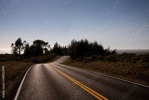 Sunlight shining on blacktop roadway leading to forest photo