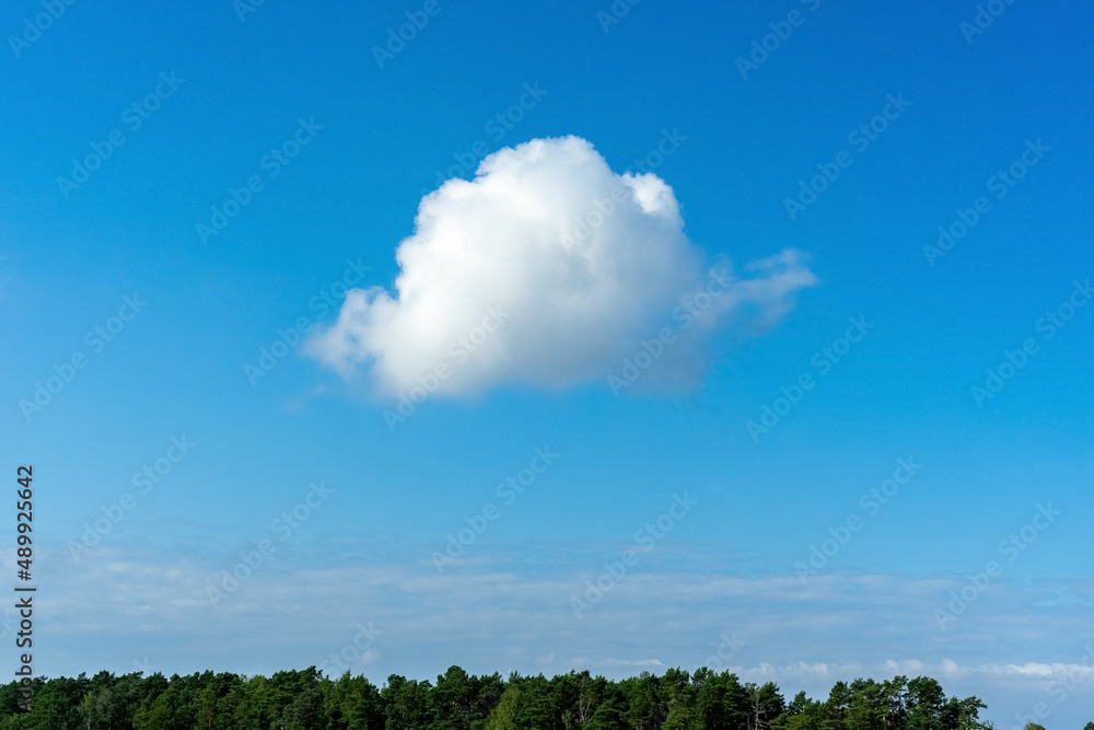 One cloud against the blue sky. Green forest landscape against a blue sky.