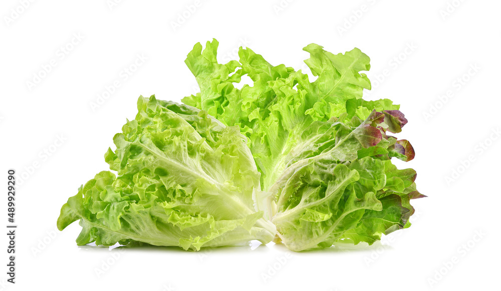 Fresh green, red lettuce isolated on white background. Fresh green, red lettuce isolated on white background.