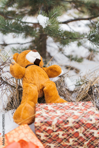 Bear and Gift.