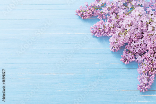 lilac on blue wooden background