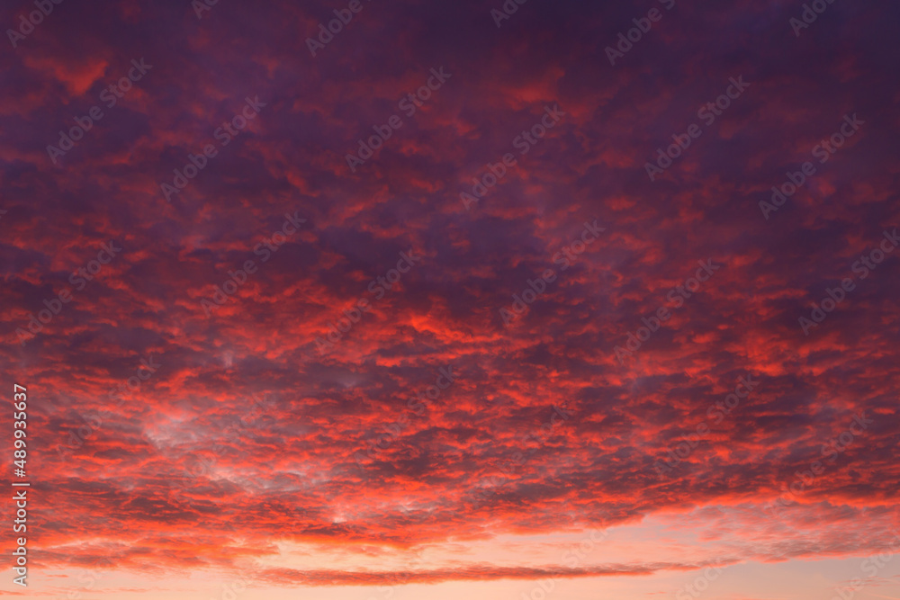 Winter dawn sky and clouds with beautiful colors as background