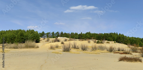 Bledow Desert, an area of sands between Bledow and the village of Chechlo and Klucze in Poland. During the WW II, the area was used by the German Afrika Korps for training before deployment in Africa photo