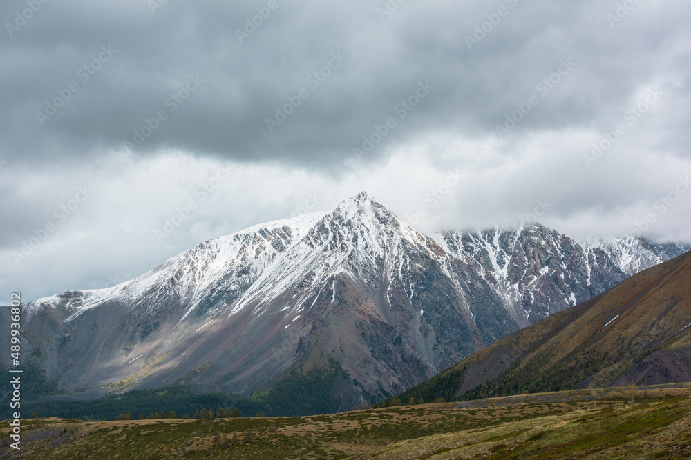 Awesome atmospheric landscape with sunlit high snowy mountain peak in rainy low clouds at changeable weather. Dramatic beautiful view from golden hill to large snow mountain top in low gray cloudy sky