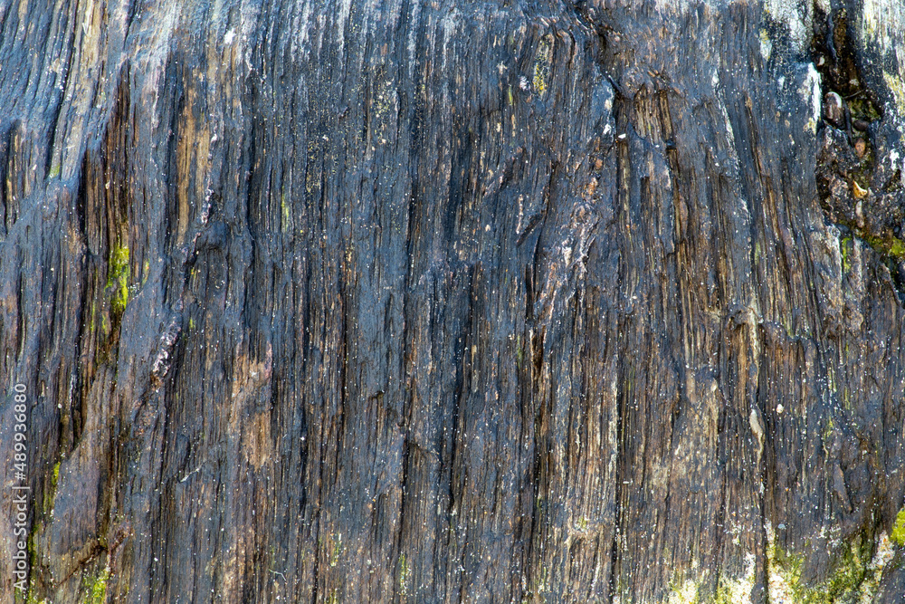 Obraz premium texture of the rock on the beach near me